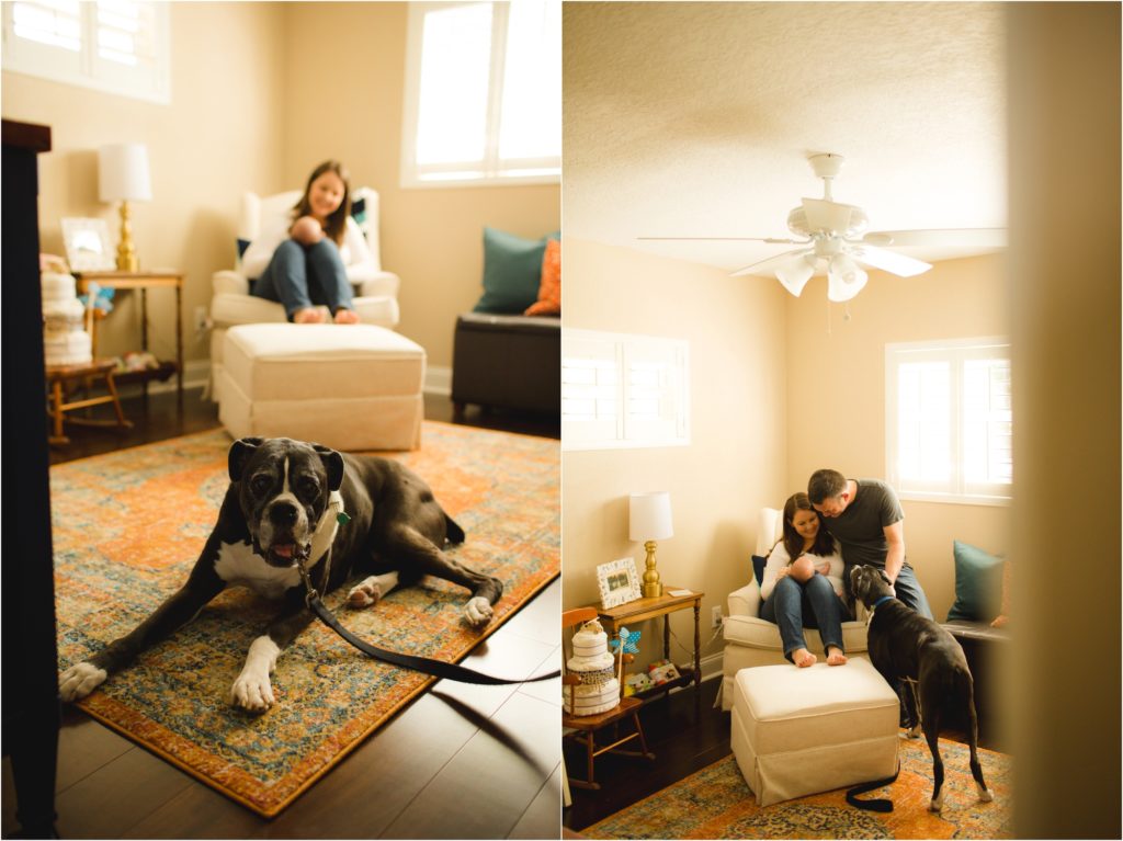 apopka newborn photographer